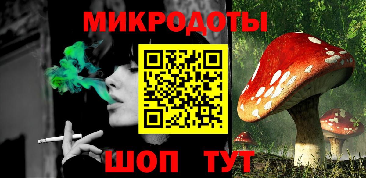 Псилоцибиновые грибы Cubensis Ставрополь